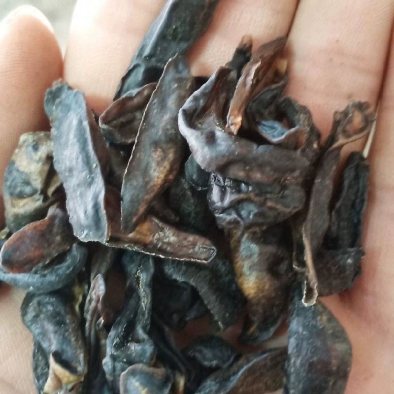 蛞蝓中药材250克100克水蜒蚰鼻涕虫正宗蛞蝓