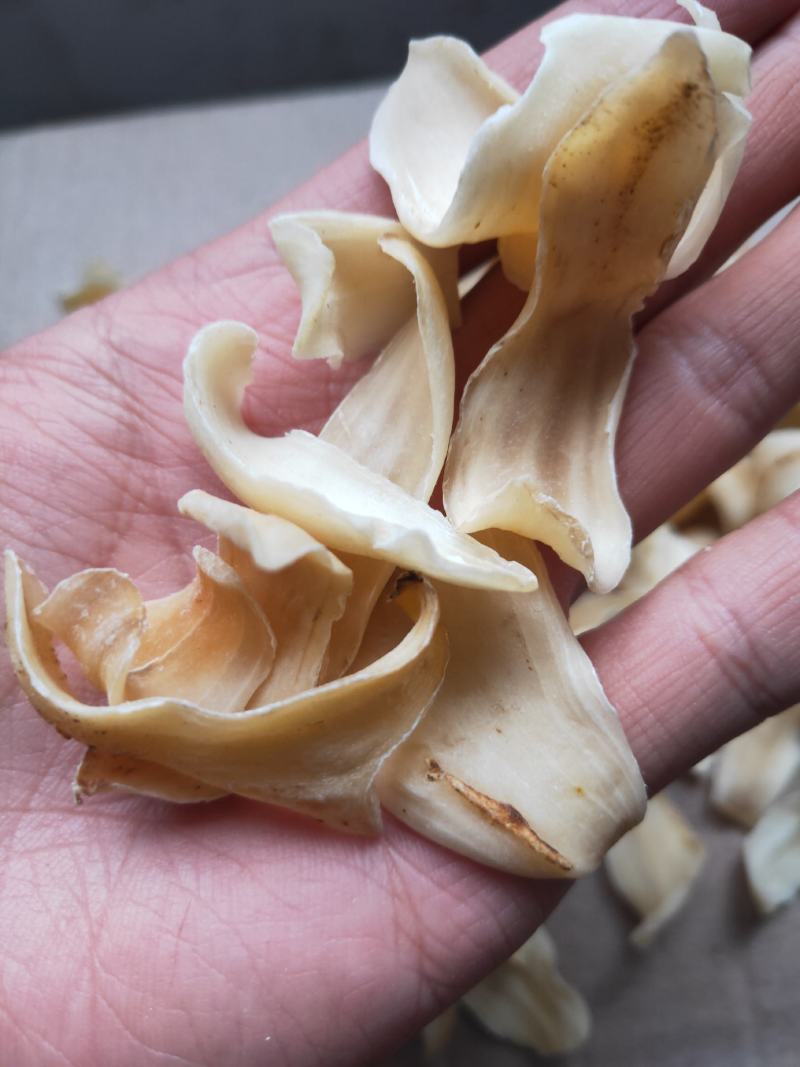 龙牙百合一级百合质优价廉颜色好无虫霉可放心食用无硫熏