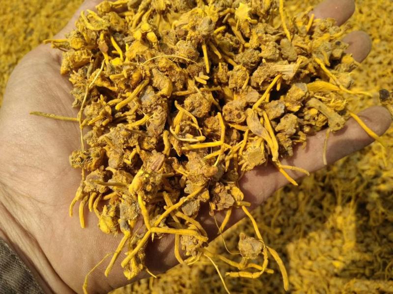 黄龙草根茶黄金果百花茶江湖地摊展销会热卖花草茶