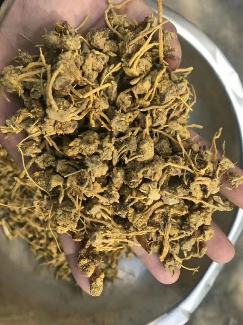 黄龙草根茶黄金果百花茶江湖地摊展销会热卖花草茶