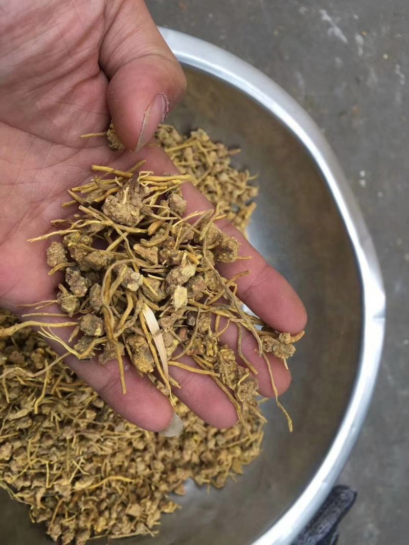黄龙草根茶黄金果百花茶江湖地摊展销会热卖花草茶