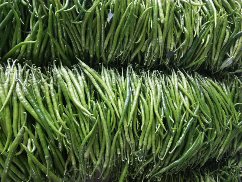 【薄皮椒】芜湖椒山东产地发货全国市场商超品质保证电联优惠