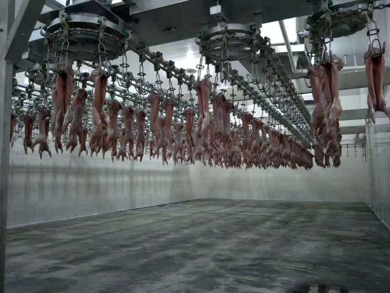 本公司专业做冷冻兔肉所有规格