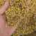 桂花干桂花茶桂花茶干花茶2023年新桂花包邮