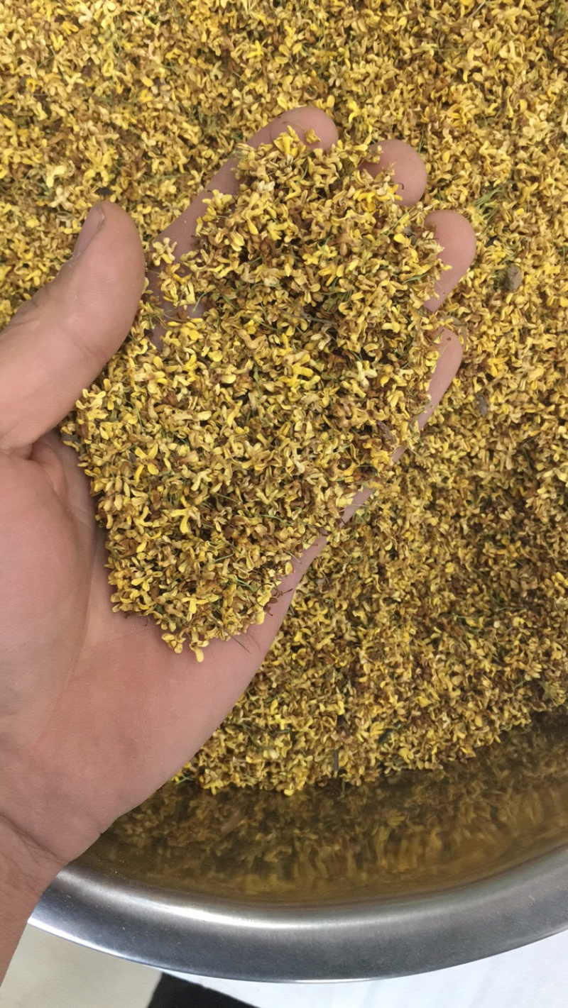 桂花干桂花茶桂花茶干花茶2023年新桂花包邮