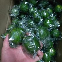海南新鲜青柠檬零售批发产地直发！大量供应！支持一件！