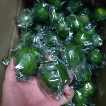 海南新鲜青柠檬零售批发产地直发！大量供应！支持一件代发！