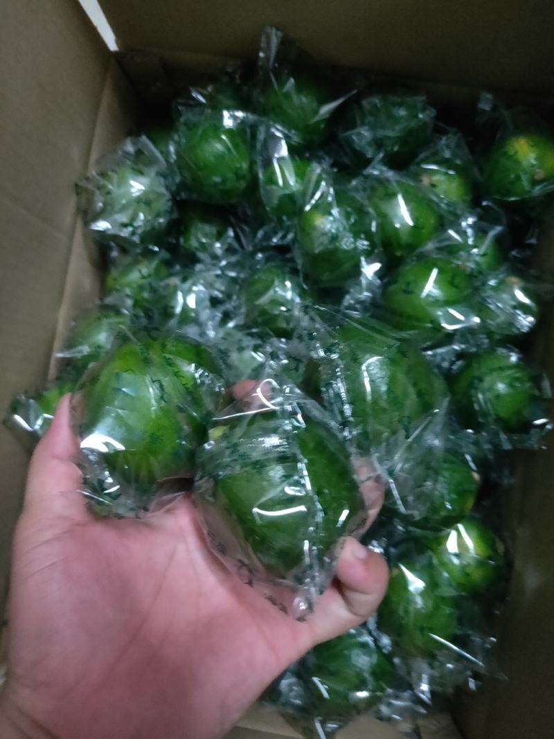海南新鲜青柠檬零售批发产地直发！大量供应！支持一件代发！