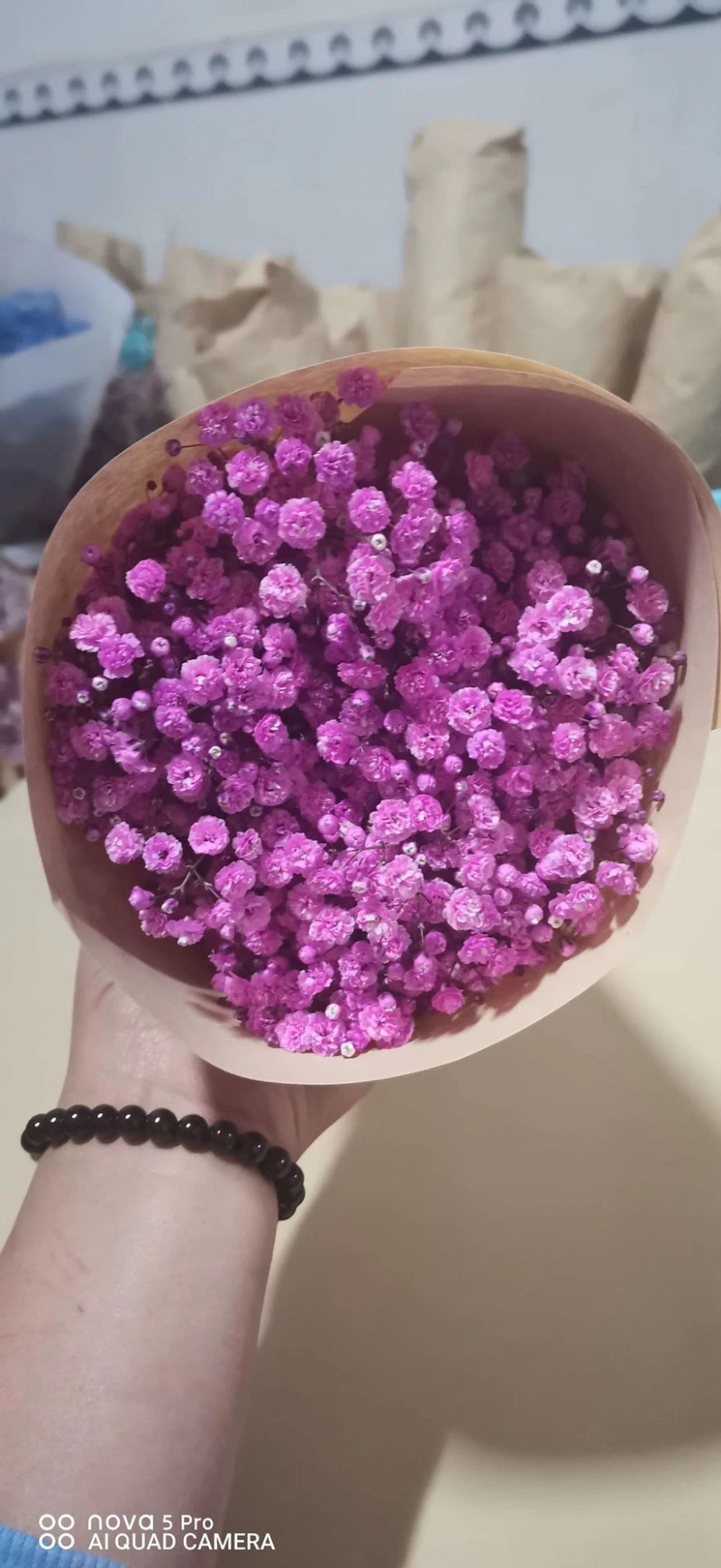 满天星切花干花吸色A级