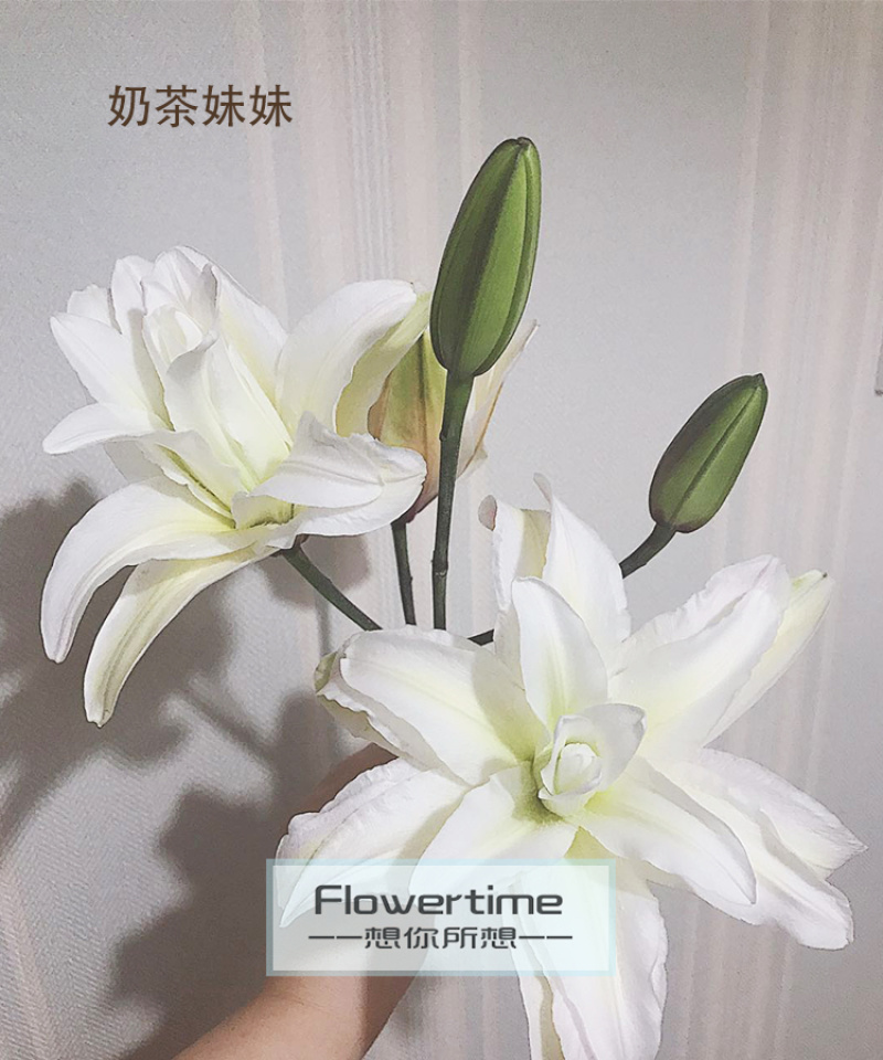 各种稀有百合，颜色齐全，级别多鲜花切花