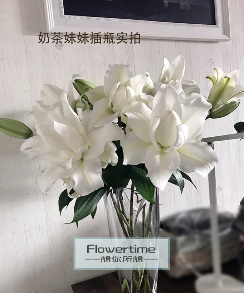 各种稀有百合，颜色齐全，级别多鲜花切花