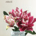各种稀有百合，颜色齐全，级别多鲜花切花