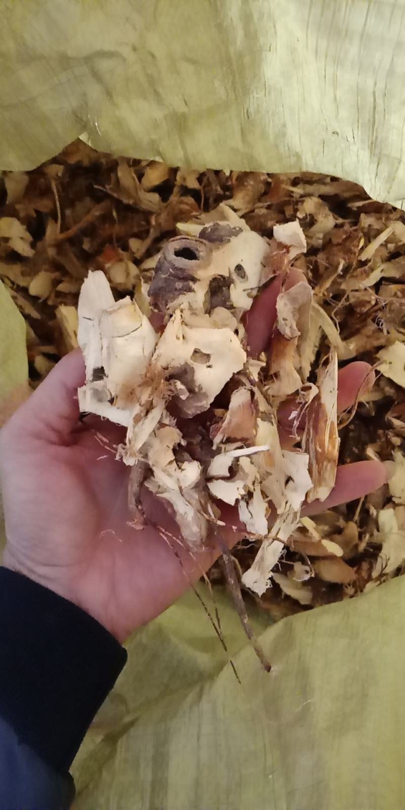 五指毛桃头粒！很靓的货颜色白净货如图片有