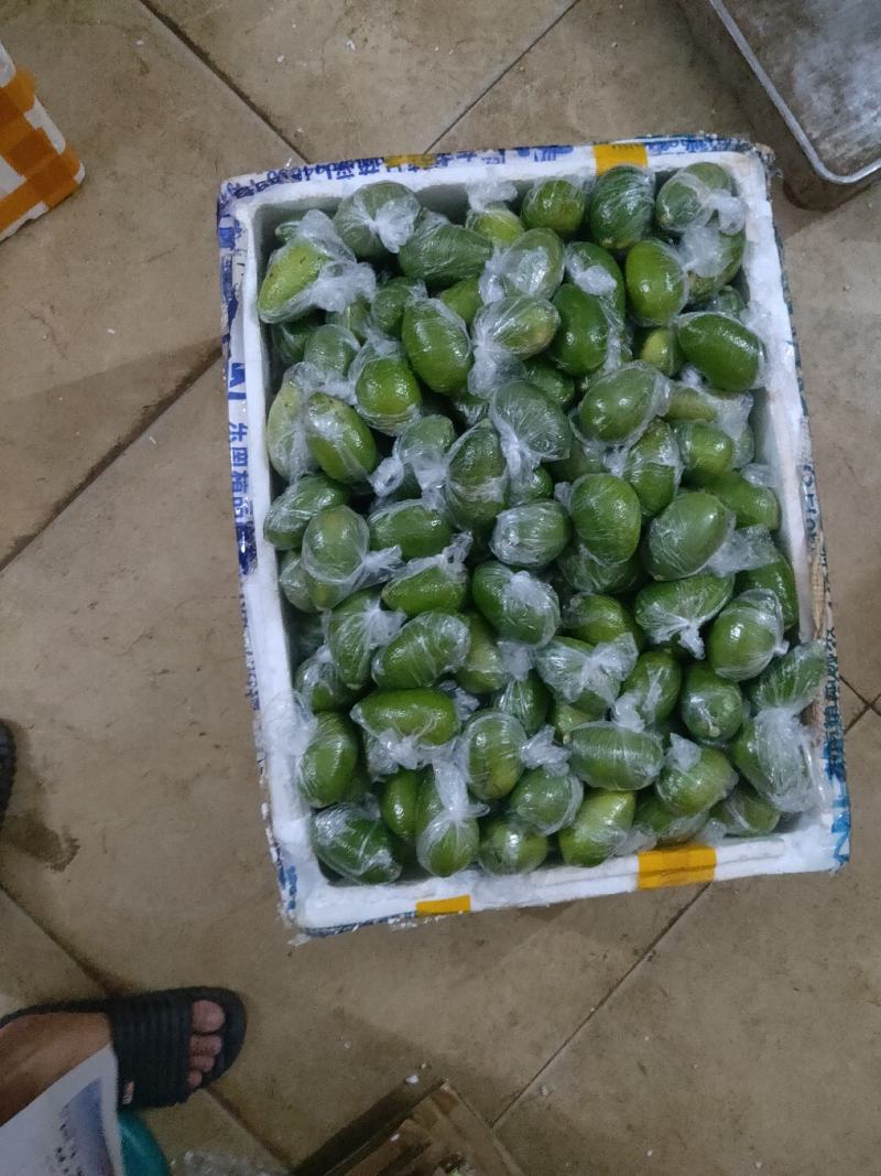 海南香水柠檬批发零售！产地直发！大量供应！