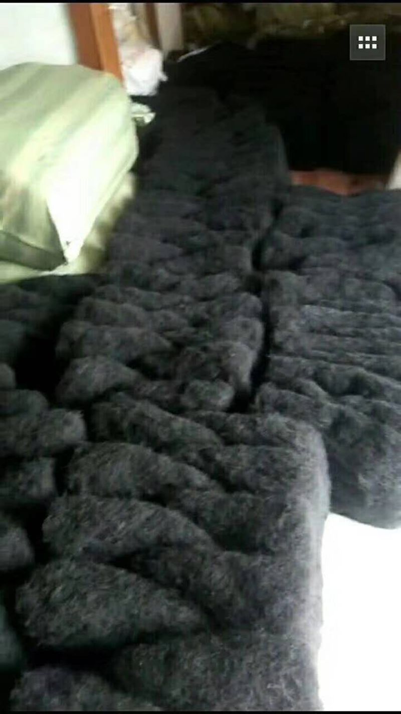 批发各种等级发菜（巨鲸水产出品）
