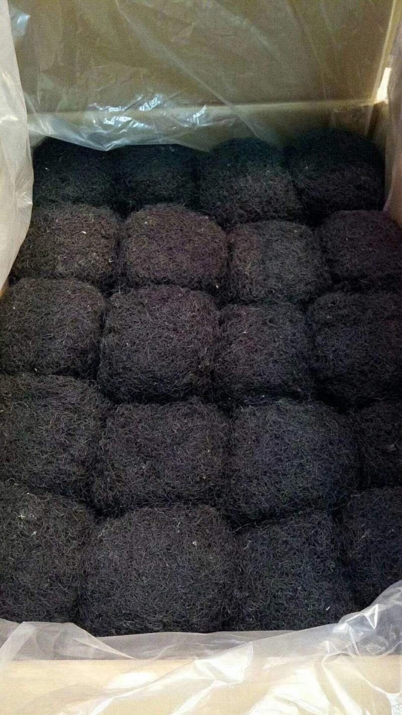 批发各种等级发菜（巨鲸水产出品）