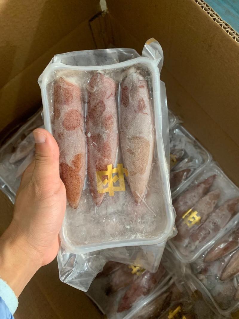 膏鱿鱼满籽鱿鱼母鱿母管带膏鱿鱼金字招牌品质保证