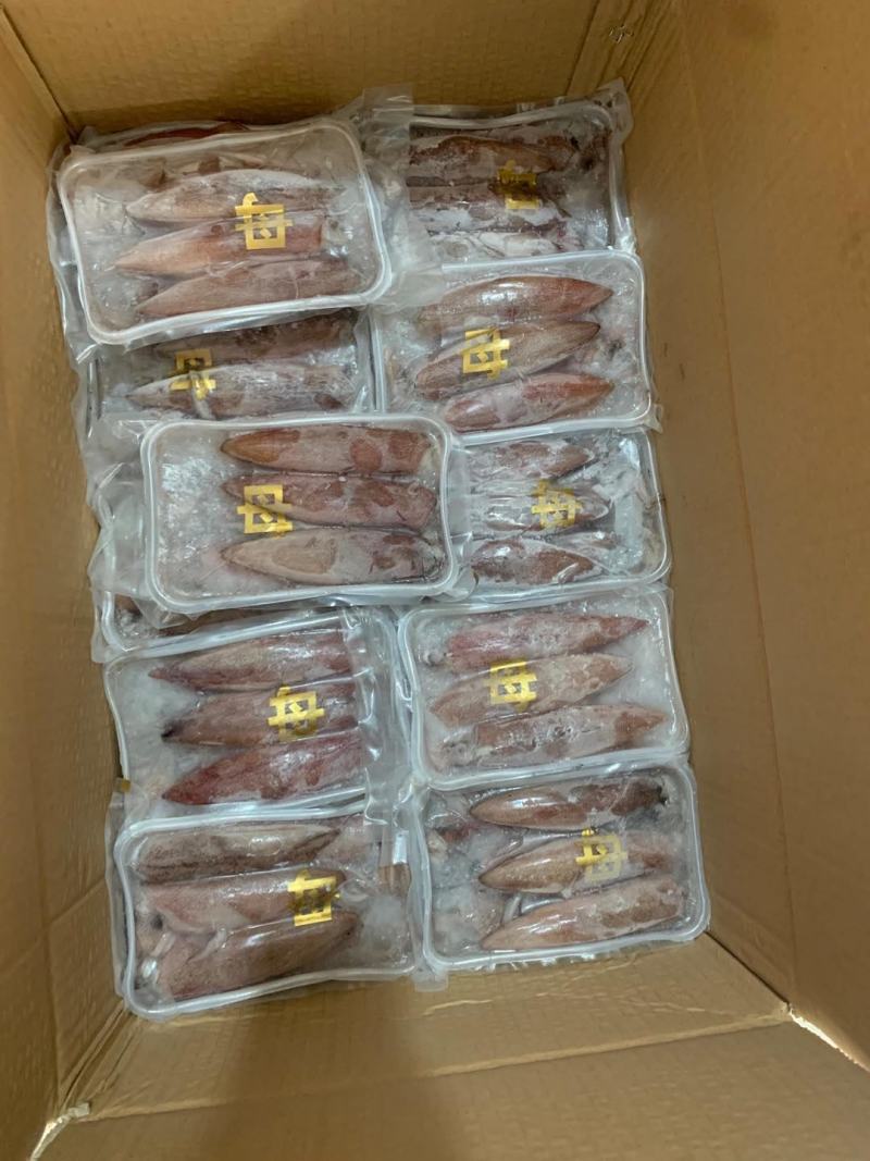 膏鱿鱼满籽鱿鱼母鱿母管带膏鱿鱼金字招牌品质保证