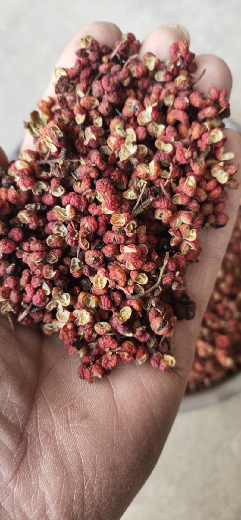 包邮狮子头花椒梅花椒色红颗粒大麻香味