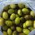 腌制橄榄盐池橄榄泡酒橄榄加工橄榄量大从优大量出售