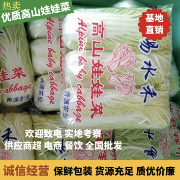 基地直销精品黄心娃娃菜对接商超，餐饮，量大从优