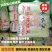 基地直销精品黄心娃娃菜对接商超，餐饮，量大从优