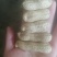 大量批发鲁花生，小日本花生，高品质无中间商，快来选购亲么