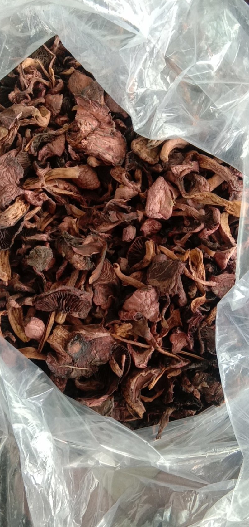 红蘑，松树伞，鸡血蘑，肉蘑的老蘑菇，挑霉块，挑焦块，过筛