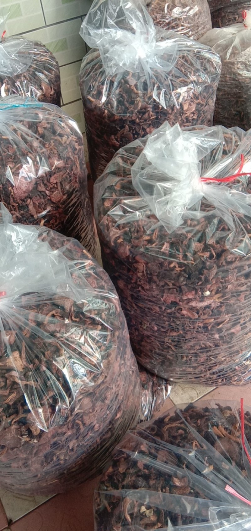 红蘑，松树伞，鸡血蘑，肉蘑的老蘑菇，挑霉块，挑焦块，过筛