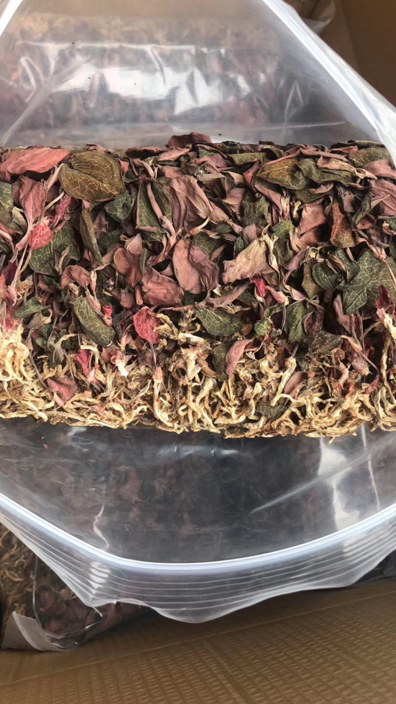 红霞金线莲产地直销，价格优势，货美价值，大量现货供应