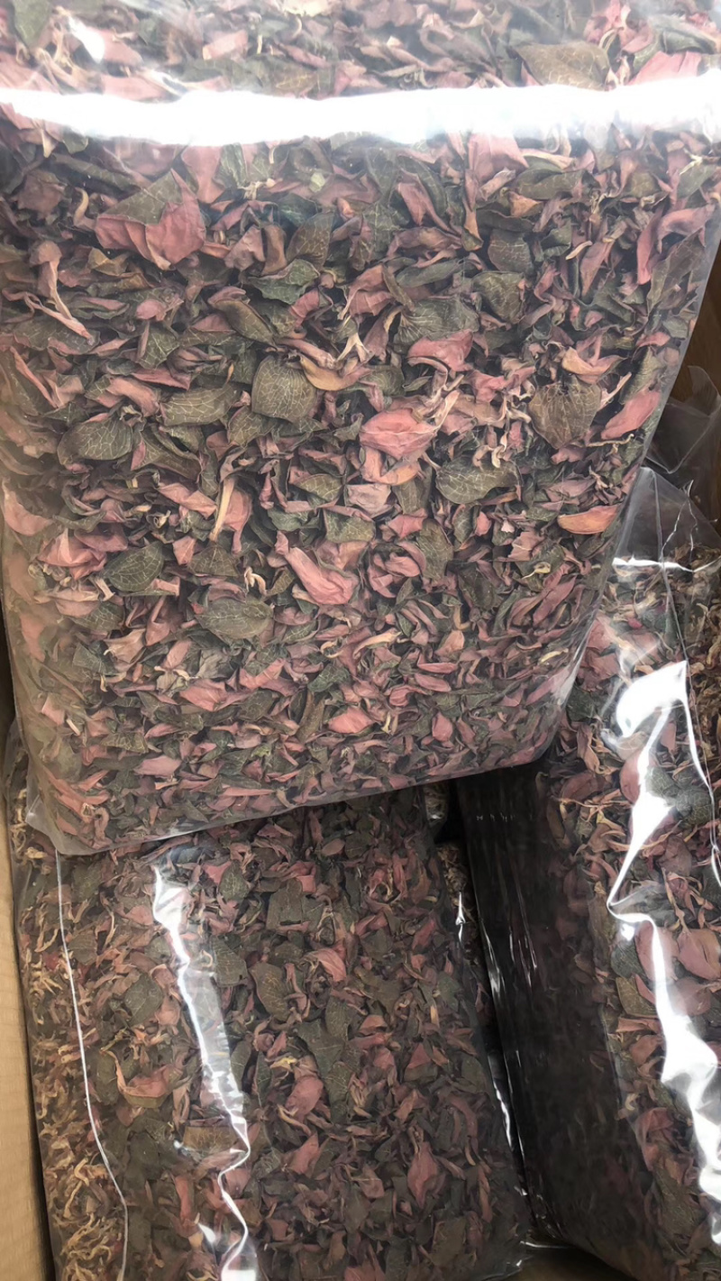 红霞金线莲产地直销，价格优势，货美价值，大量现货供应