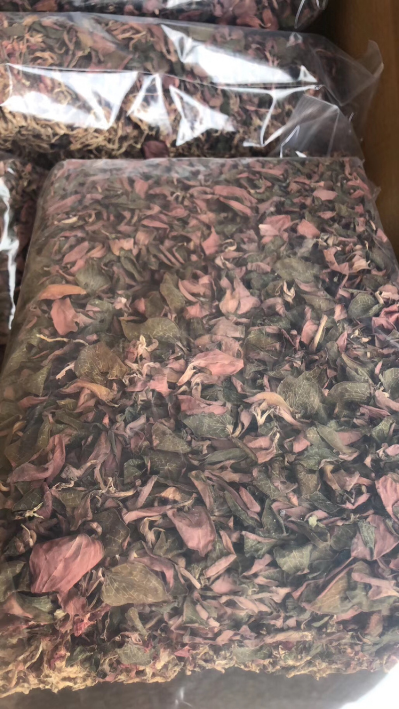 红霞金线莲产地直销，价格优势，货美价值，大量现货供应