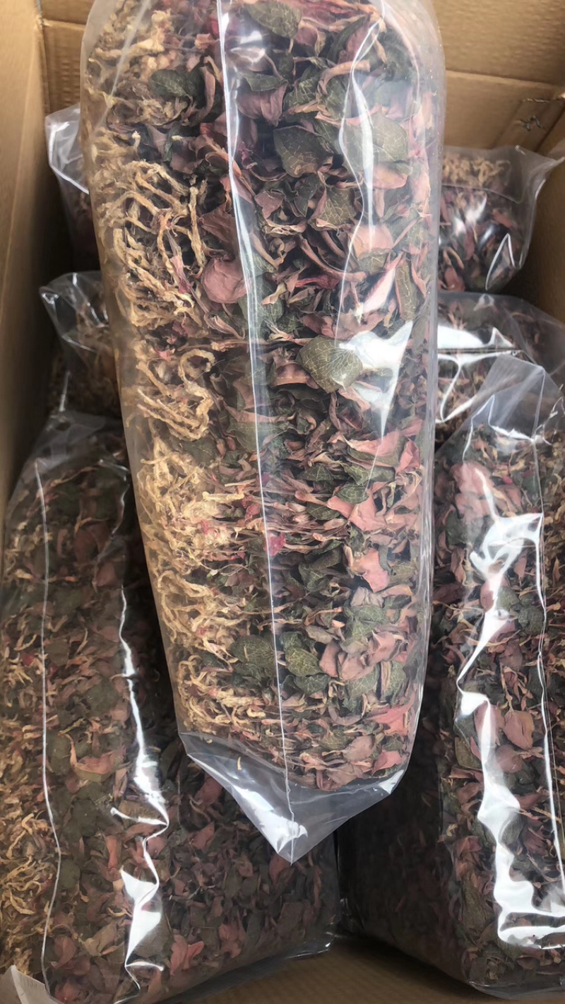 红霞金线莲产地直销，价格优势，货美价值，大量现货供应