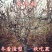 盘龙枣龙须枣树苗保品种保质量基地现挖现发可视频看货