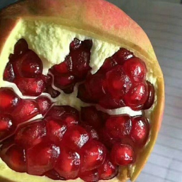 陕西省渭南市富平县石榴