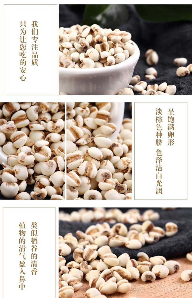 大薏米薏米大粒薏仁米