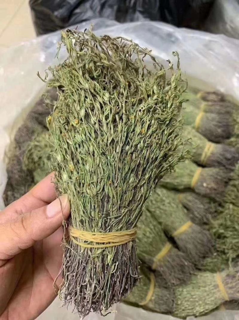 独脚金小儿开胃汤新鲜草药干货独脚柑正品野生疳积草