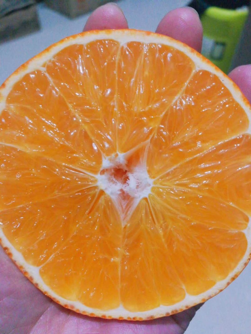 丹棱精品爱媛果冻橙.爱媛38
