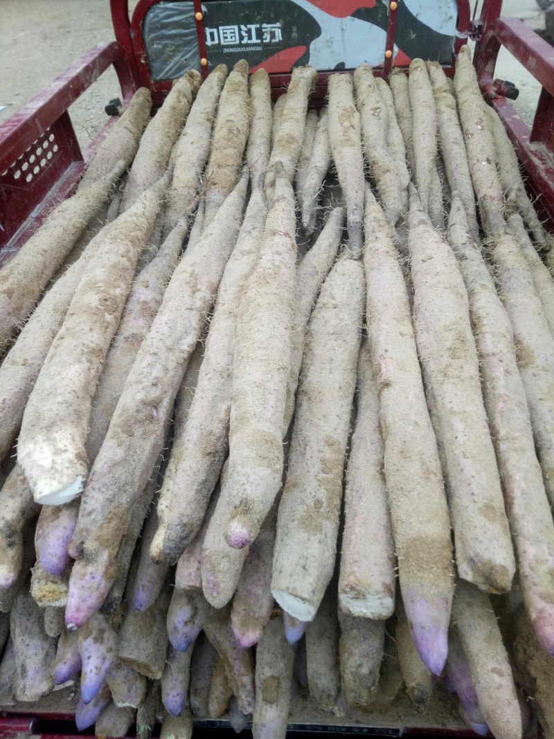 农产品苦瓜，丝瓜，豆角，淮山