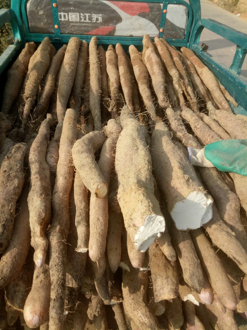 农产品苦瓜，丝瓜，豆角，淮山
