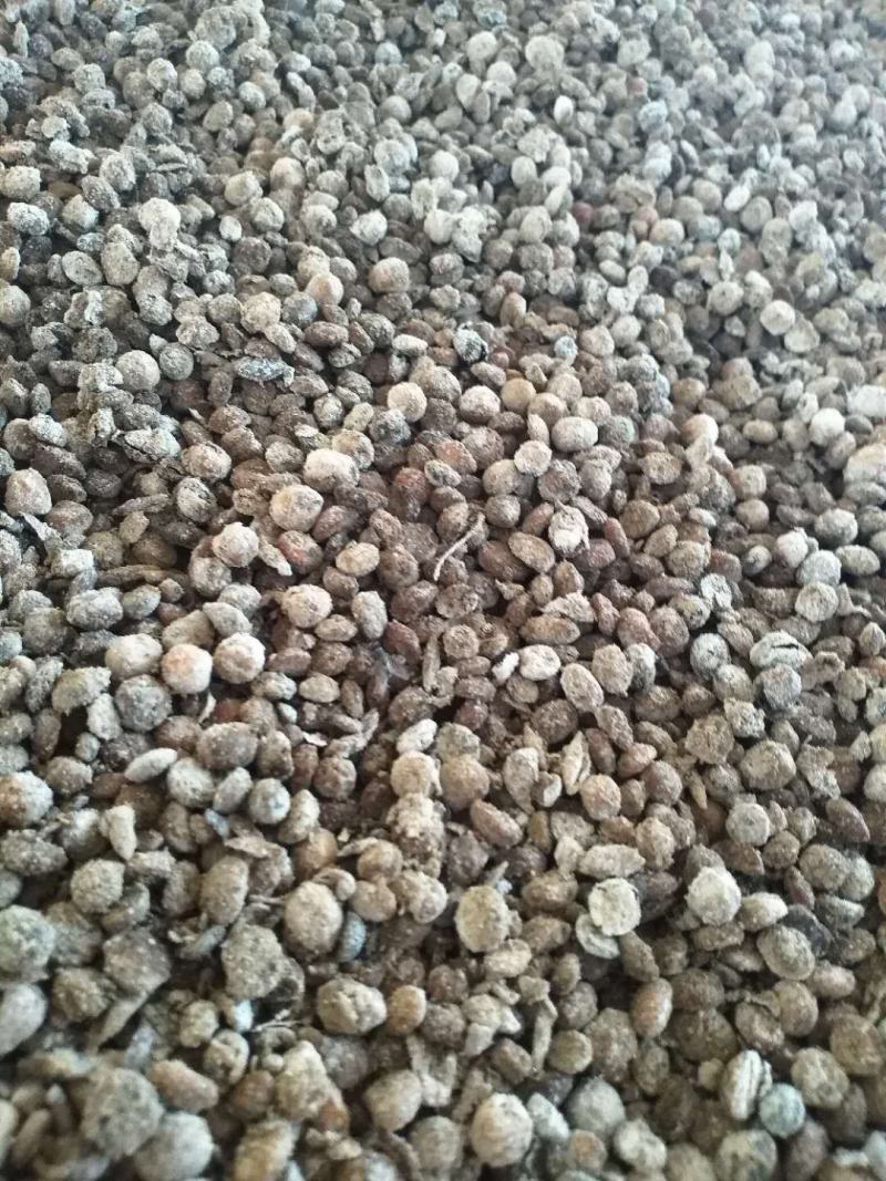 益生菌发酵大豆，下地大豆