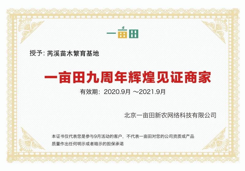 《巨峰葡萄苗》昌黎葡萄苗/基地直供/保证纯度/可签合同