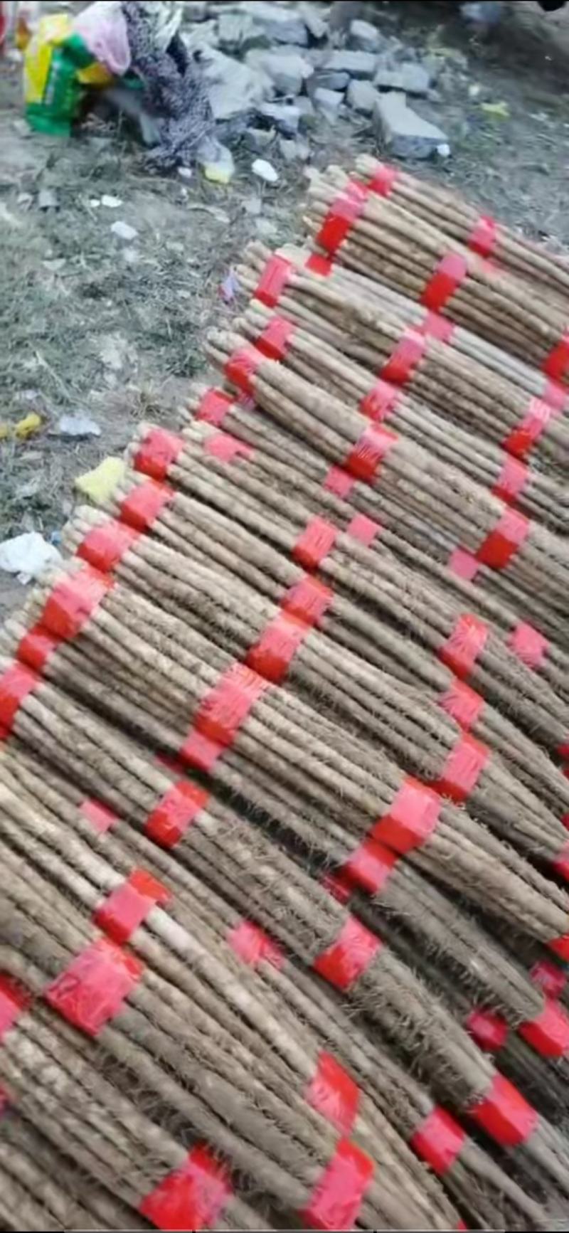 供应面沙土铁棍山药大量现货
