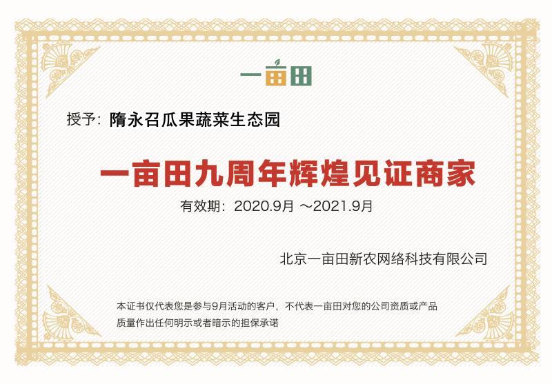 【热卖】优质精品包菜，产地直销新鲜上市量大从优全国