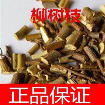 中药材柳枝柳树枝杨柳条柳条枝正品包邮晒干