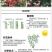 玫瑰花（红，黄，蓝，紫，白，粉，绿）耐寒南北方种植易活