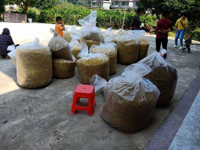 桂花干，农家自制桂花干