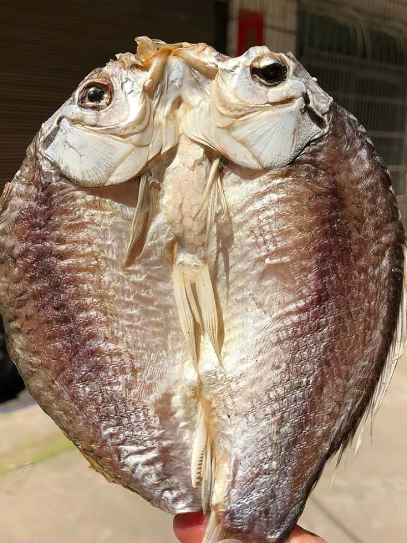 洪湖干鲫鱼腌制鲜活鲫鱼