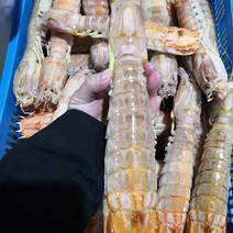 泰国富贵虾200-300..带膏，不带膏，上海全国发货