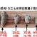 正宗云南文山三七20头30头40头60头无剪口500g